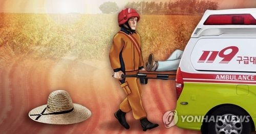 폭염 속 밭 일하던 노인 사망 (PG) [제작 최자윤] 일러스트