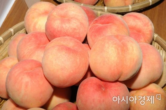 장성농협하나로마트 이미지