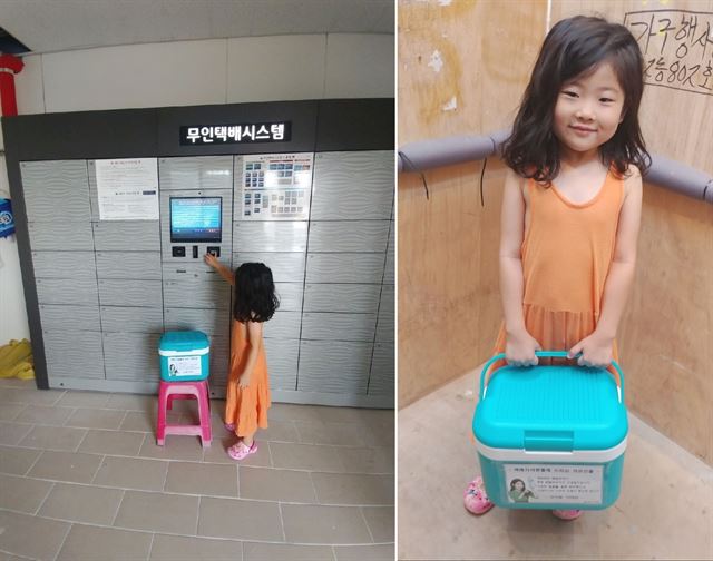 아이스박스 이미지
