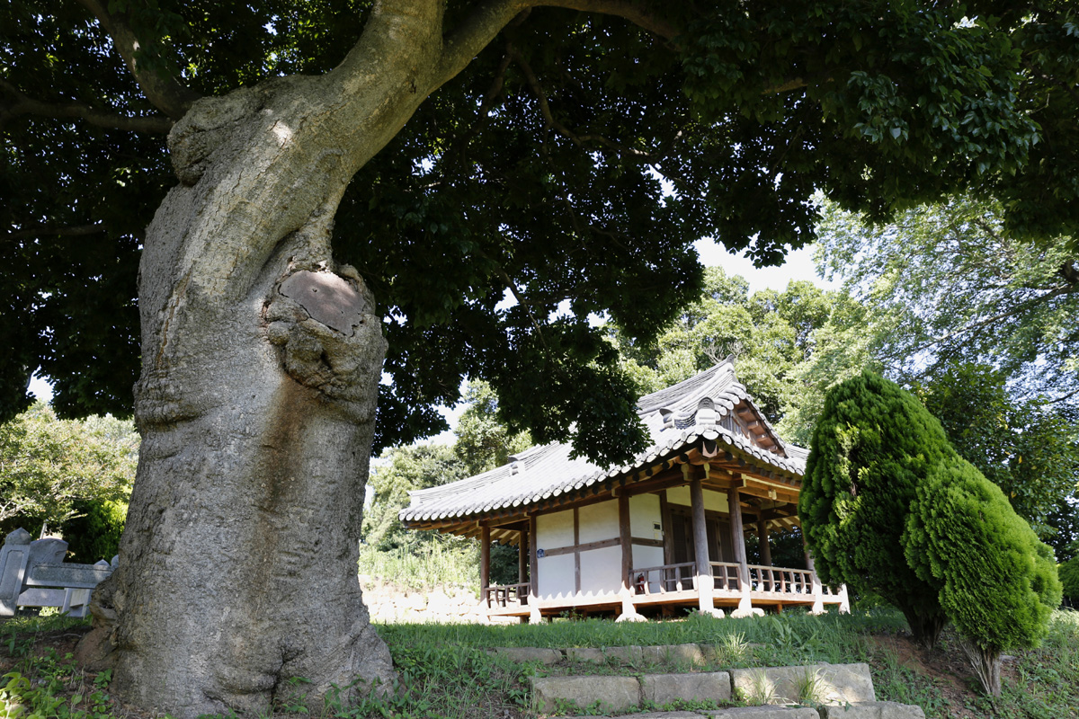 식영정 이미지