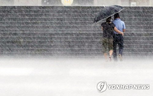 소나기 이미지