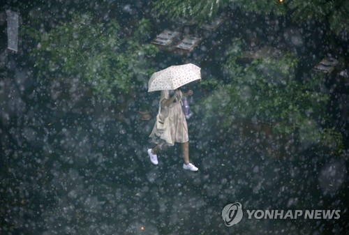 소나기 이미지