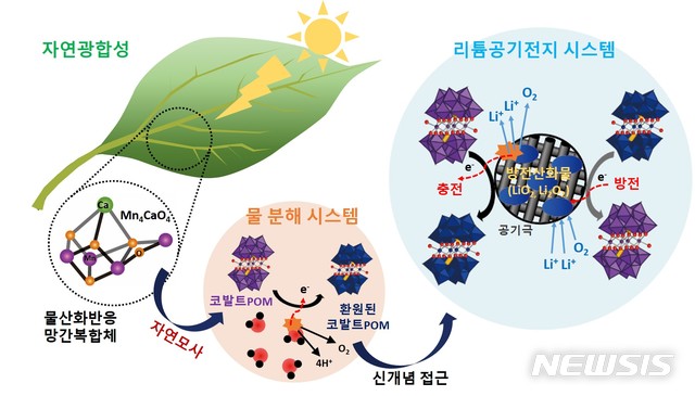 모사개발 이미지