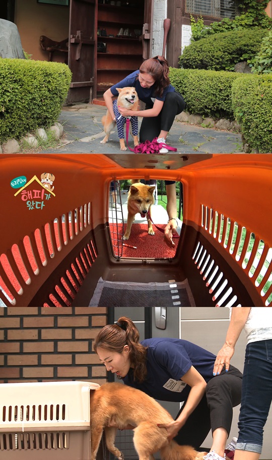 해피 이미지