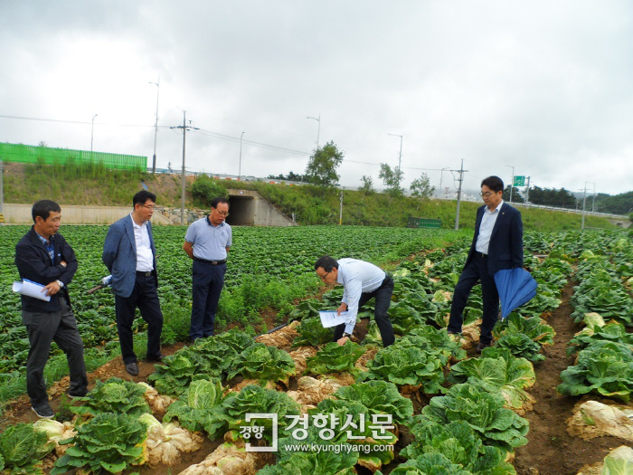 대관령농수산 이미지