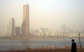 대유인터내셔널 이미지