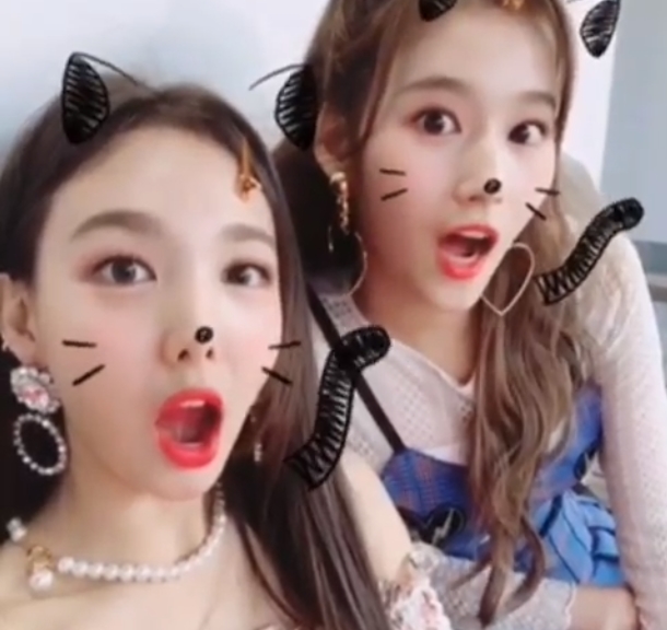 Group TWICE members Nayeon and Sana have given off their lovely charm.The official Instagram of TWICE posted a video on August 1 with the article Ill see you later at the Korea Music Festival.Inside the video was a picture of Nayeon and Sana dressed up as cats with mobile phone applications.Sanas cute visual, with Nayeons innocent look and half-bundled hairstyle in a pearl necklace, attracts attention, with their bright smiles also noticeable.The fans who responded to the video responded such as Both are cute, I really want to see and I am hot.delay stock