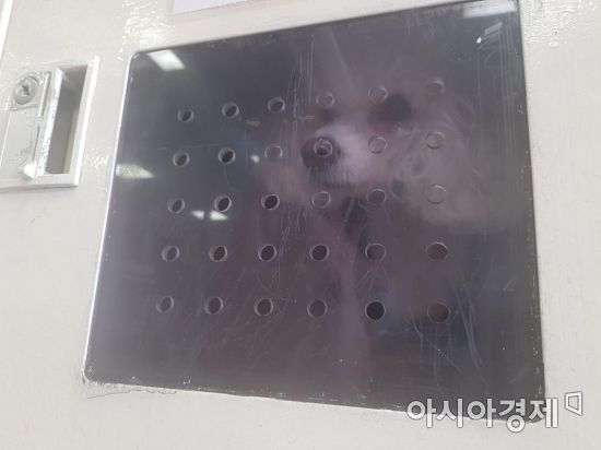 인천아시아마트 이미지