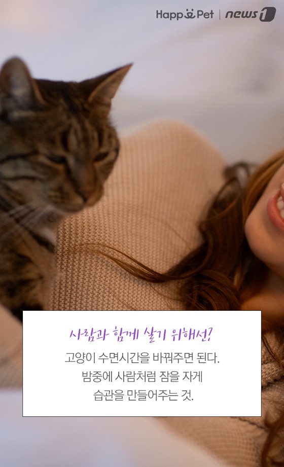 우다다 이미지