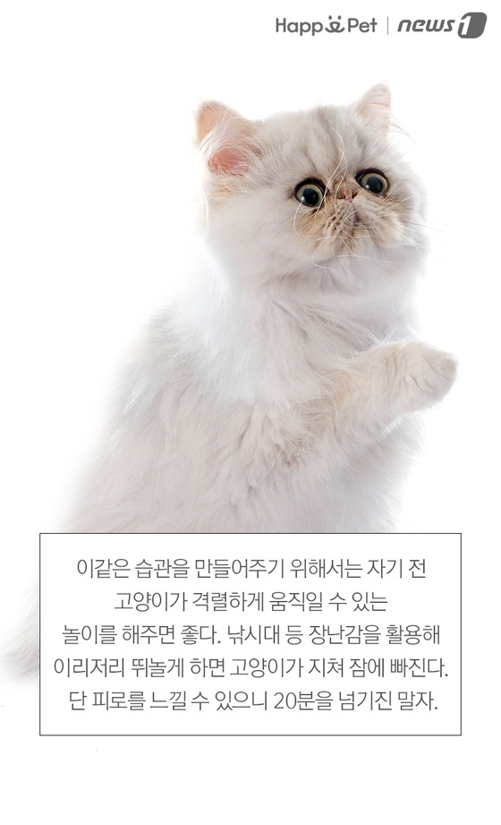 우다다 이미지