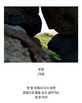 투영 이미지