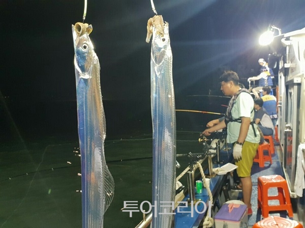 선상 이미지