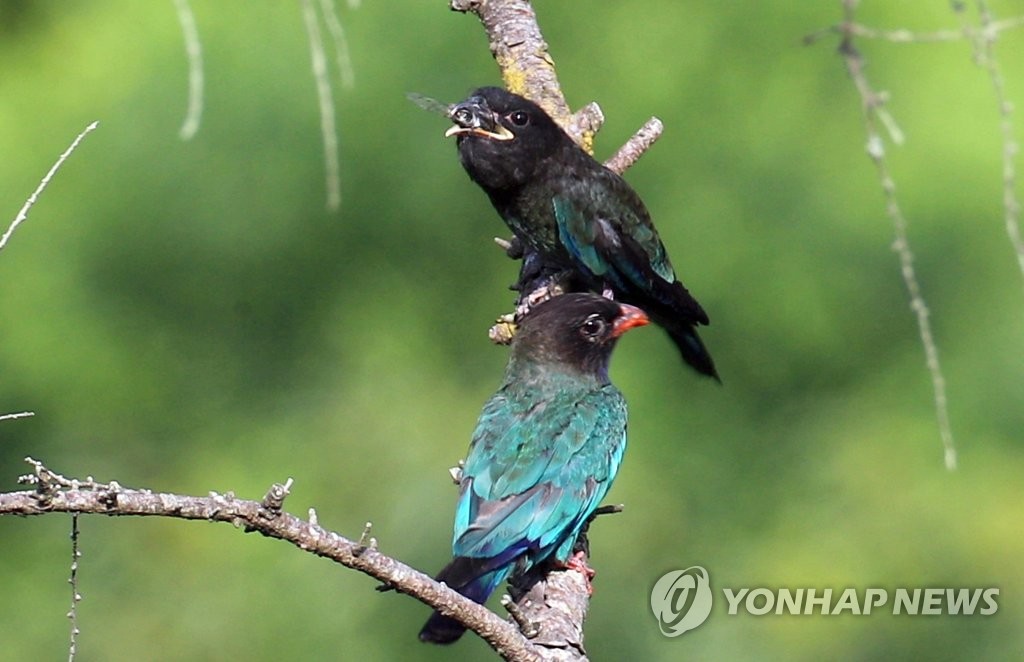 알품는 마을 이미지