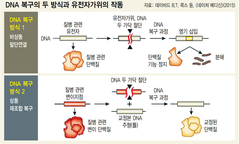 가위연구소 이미지