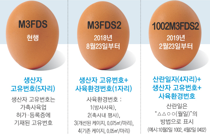 엄마닭 이미지