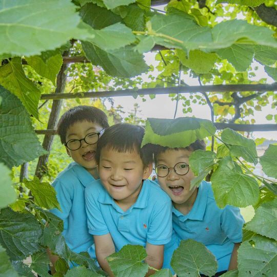 삼둥이네 이미지
