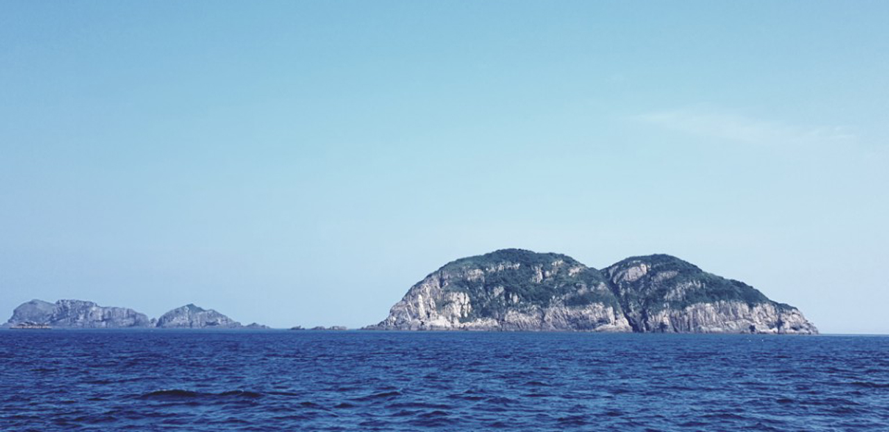 비호수산 이미지