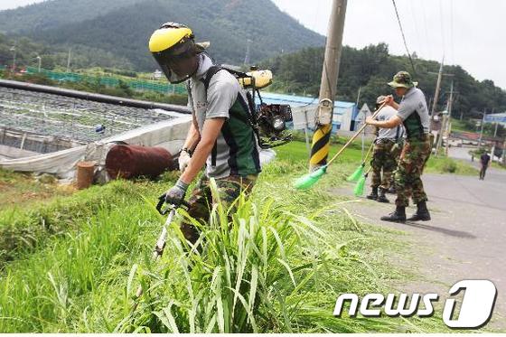 [자료사진] 제초작업 중인 장병들. ⓒ News1