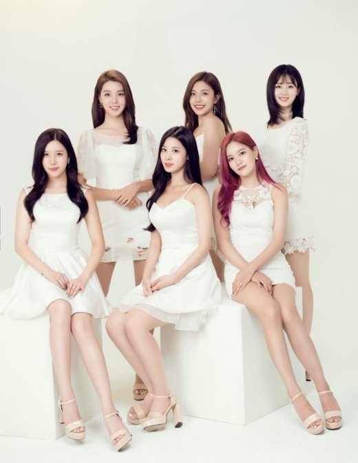 베리굿트래블 이미지