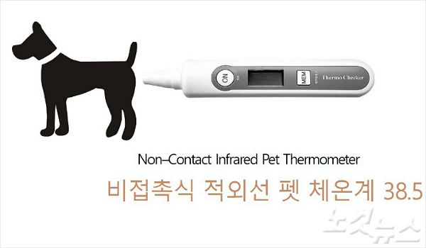 (주)비젼개발 이미지