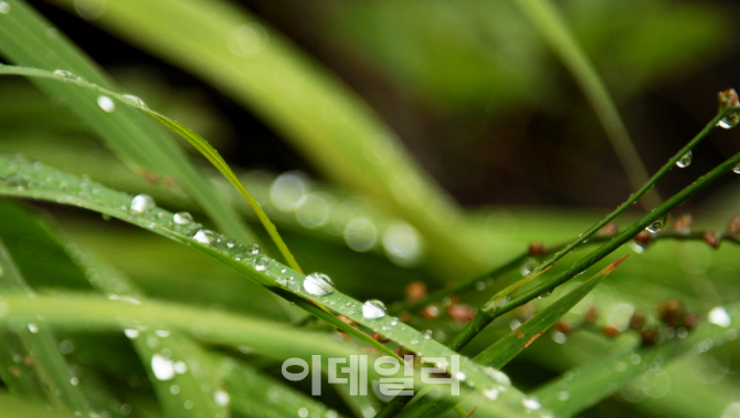 초가집황토펜션 이미지