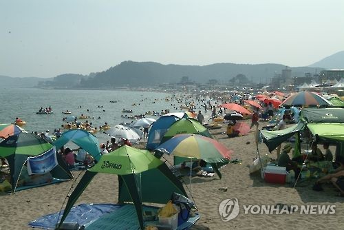 라이프러리 이미지