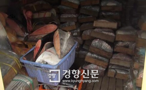고기상자 이미지