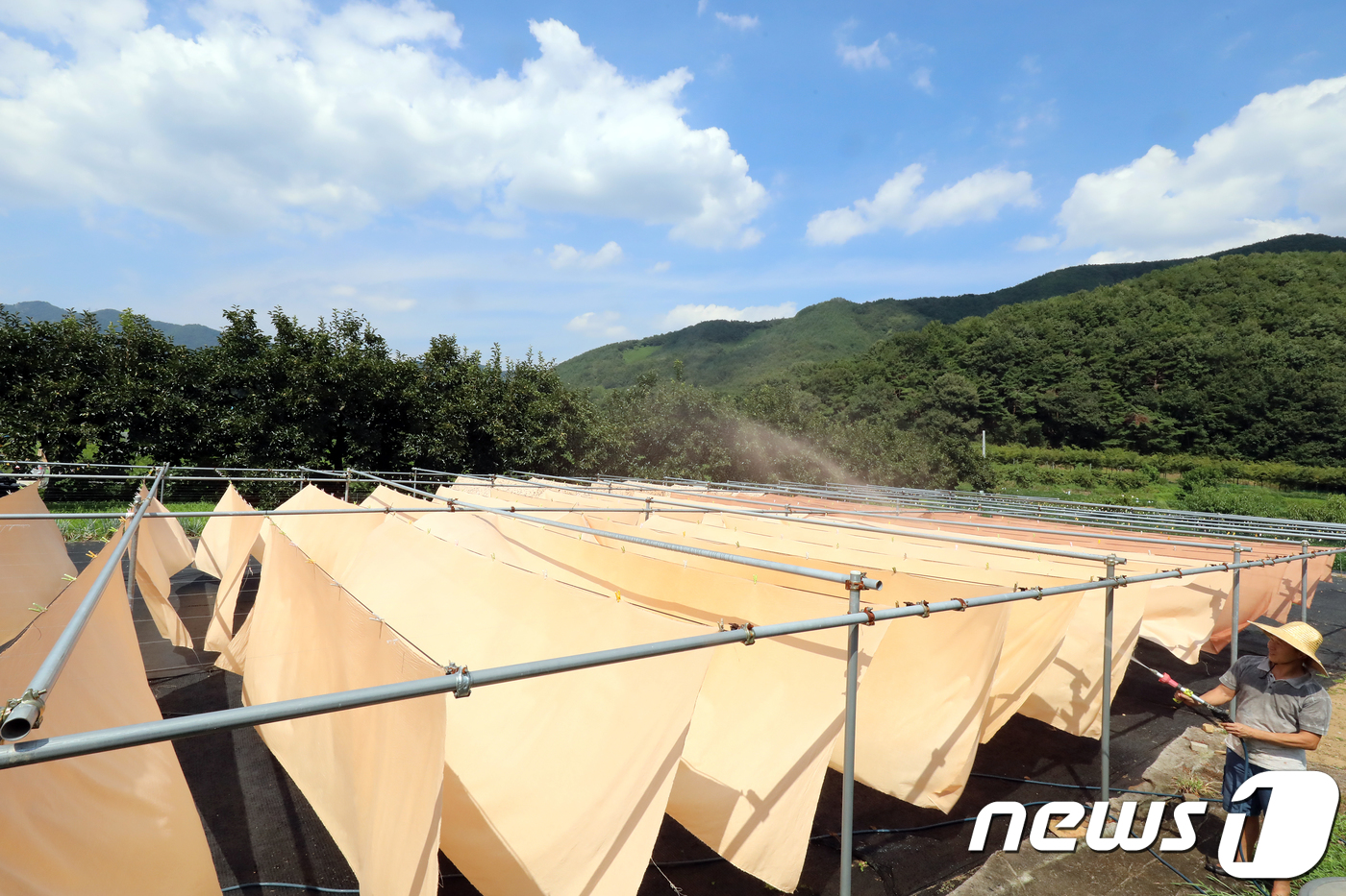 때깔천연염색연구소 이미지