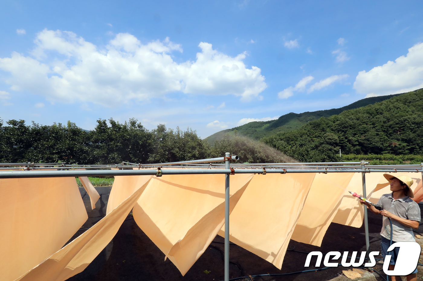 때깔천연염색연구소 이미지