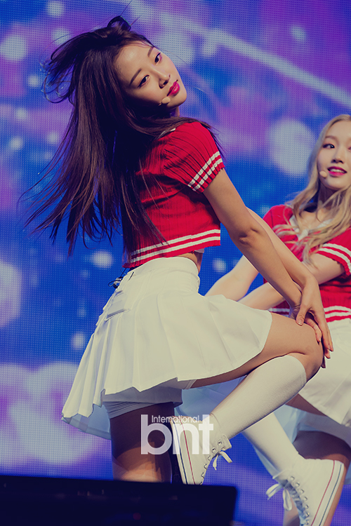 이바이브 이미지