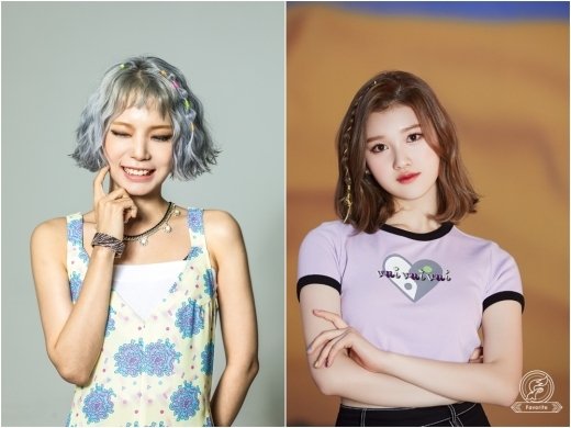 메이져세븐컴퍼니 이미지