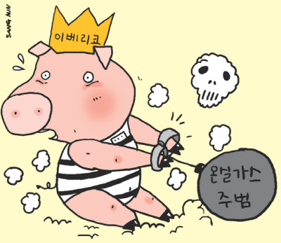 돼지는이베리코 이미지