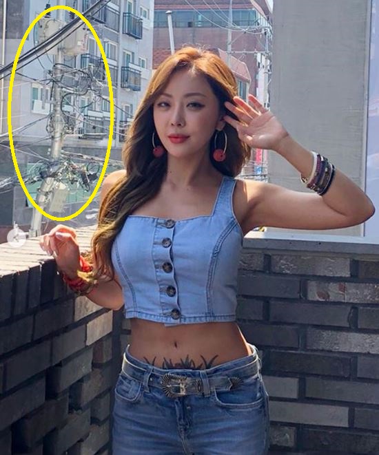 나르샤 이미지
