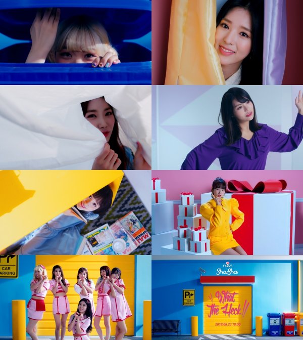 샤샤 이미지