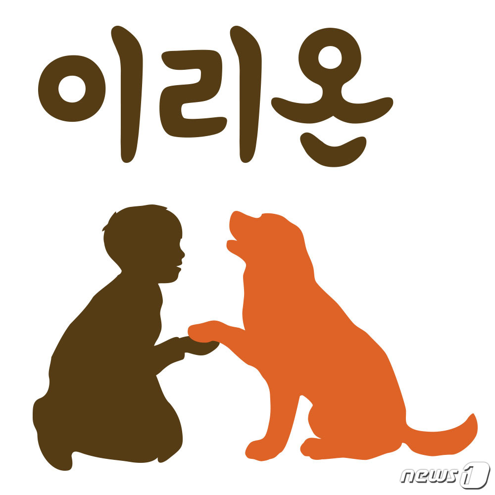 디비에스 이미지