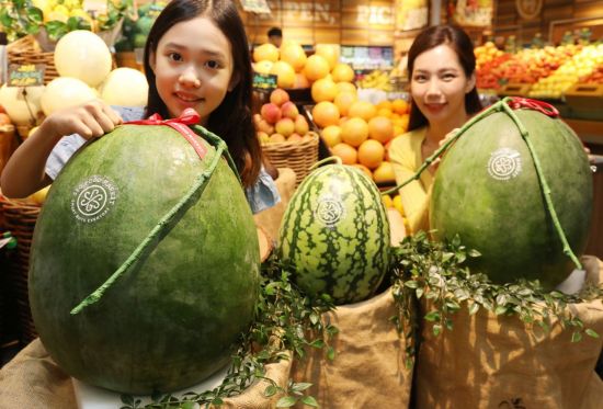 포토마켓 이미지