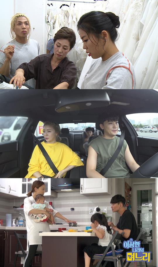 며느리 이미지