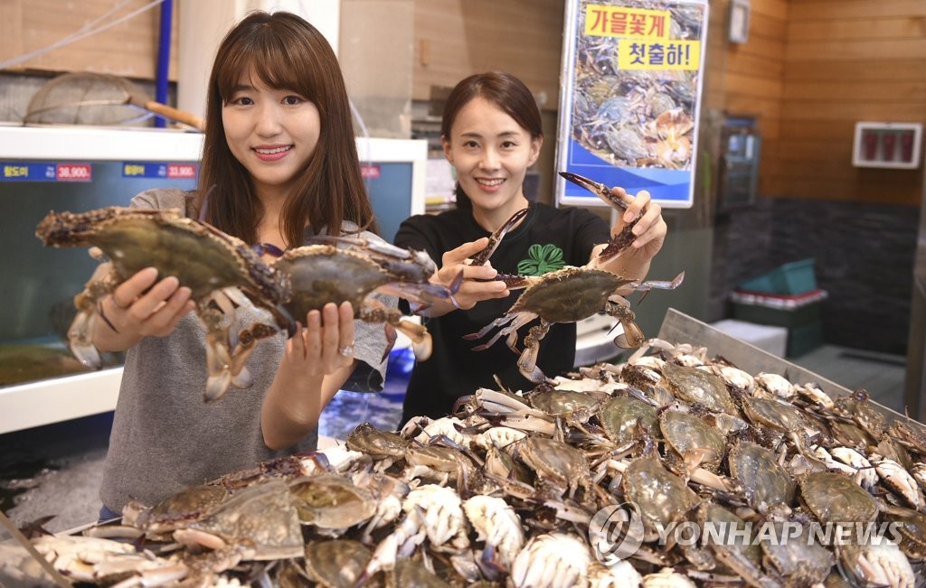 싱싱유통 이미지