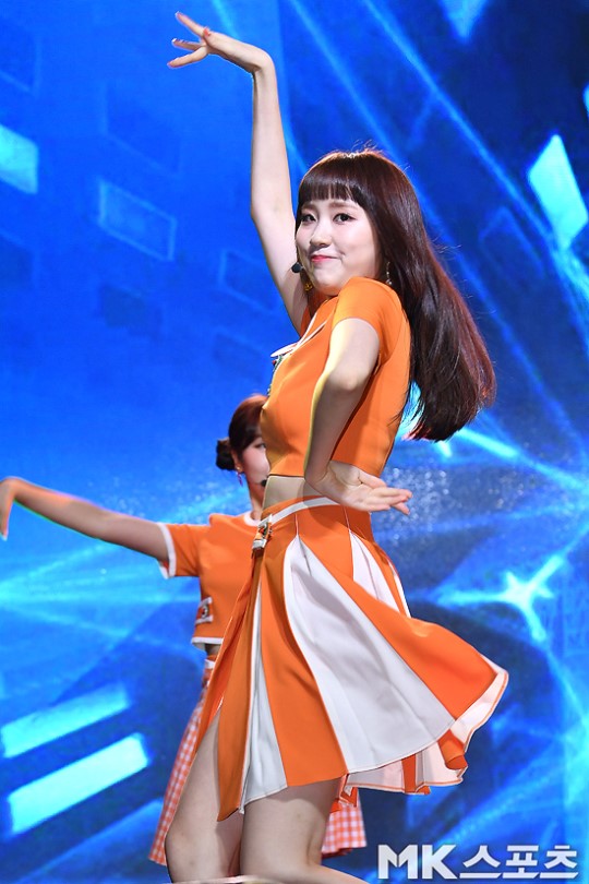 샤샤 이미지