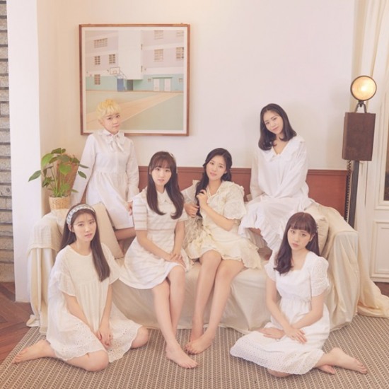 샤샤 이미지