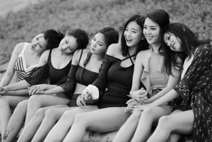 베리 이미지