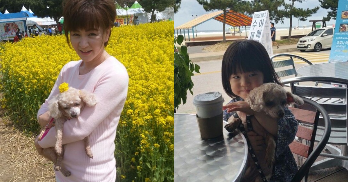 홍이 이미지