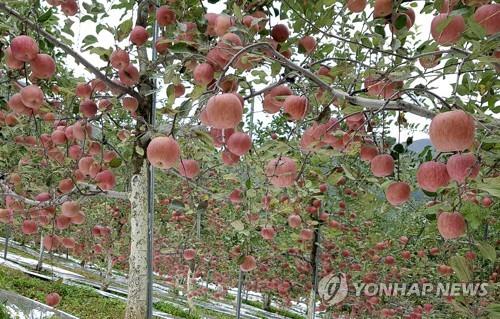 산들산들영농조합법인 이미지