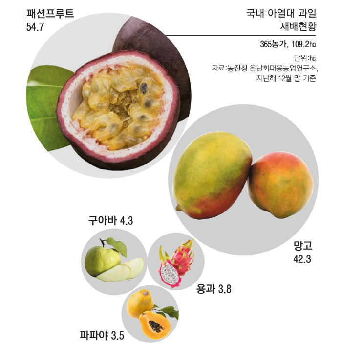 담양커피 이미지