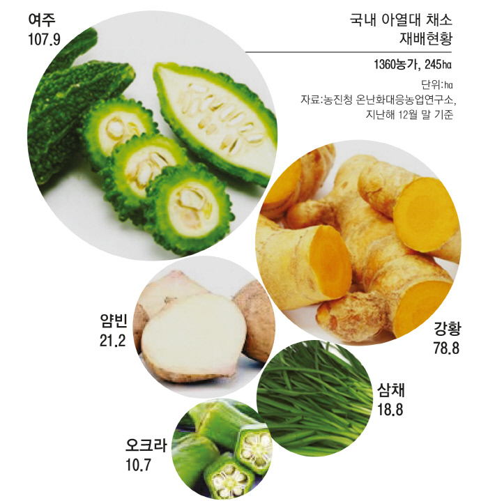담양커피 이미지
