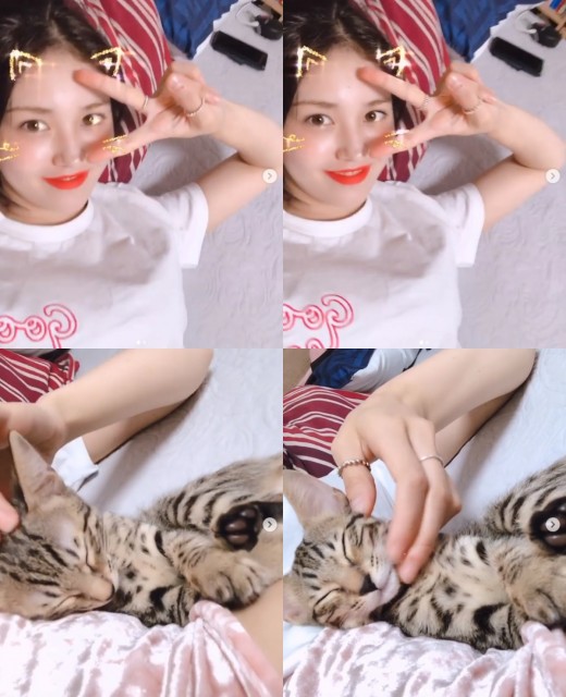 The latest news of Jeon So-mi, a native of Iowa, has been revealed.On the 25th, Jeon So-mi wrote on his instagram, My house is beautiful.Welcome To The Family COOKIE and posted a video and several photos.In the public footage, the current situation of Jeon So-mi is included. Jeon So-mi enjoys a relaxing workplace with his companion, Cookie.In the photo, Jeon So-mi is making a playful look. The still-beauty Jeon So-mi is attracting Eye-catching.Jeon So-mi recently announced that he had terminated his exclusive contract with JYP Entertainment.