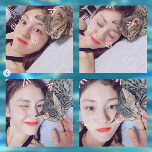 The latest news of Jeon So-mi, a native of Iowa, has been revealed.On the 25th, Jeon So-mi wrote on his instagram, My house is beautiful.Welcome To The Family COOKIE and posted a video and several photos.In the public footage, the current situation of Jeon So-mi is included. Jeon So-mi enjoys a relaxing workplace with his companion, Cookie.In the photo, Jeon So-mi is making a playful look. The still-beauty Jeon So-mi is attracting Eye-catching.Jeon So-mi recently announced that he had terminated his exclusive contract with JYP Entertainment.