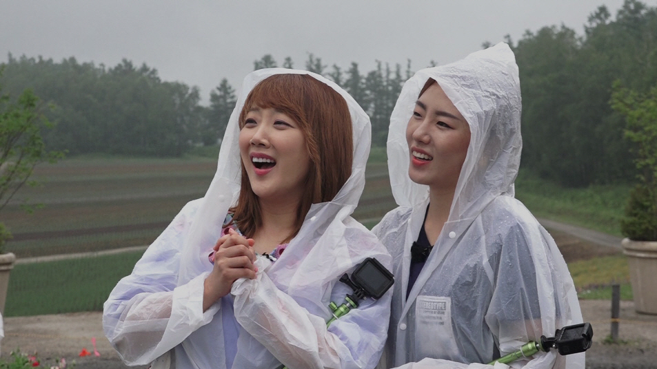 위콜라보 이미지