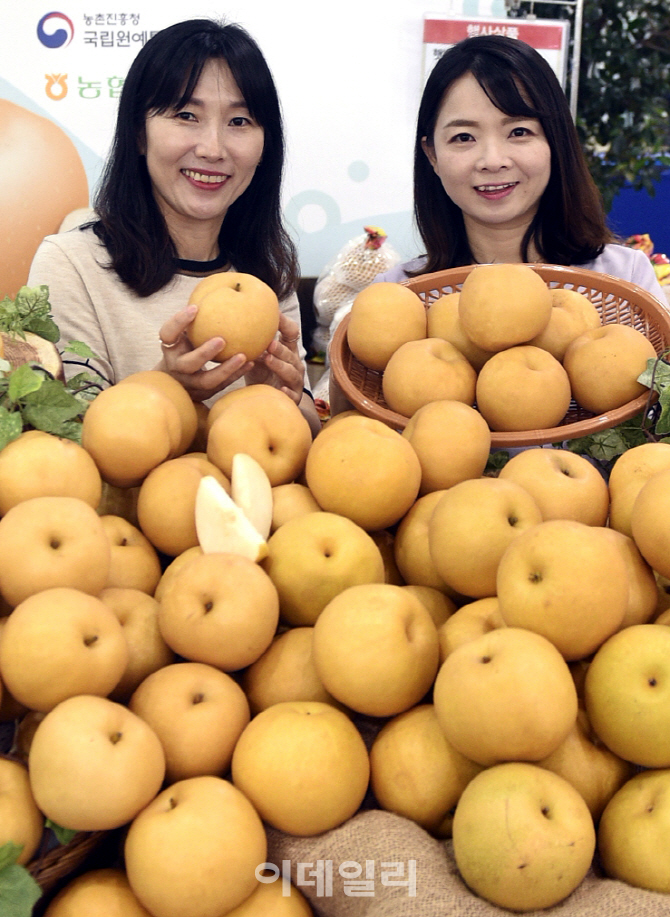 한아름할인마트 이미지