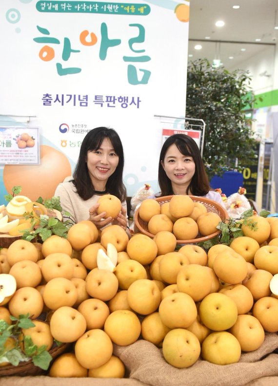 한아름할인마트 이미지